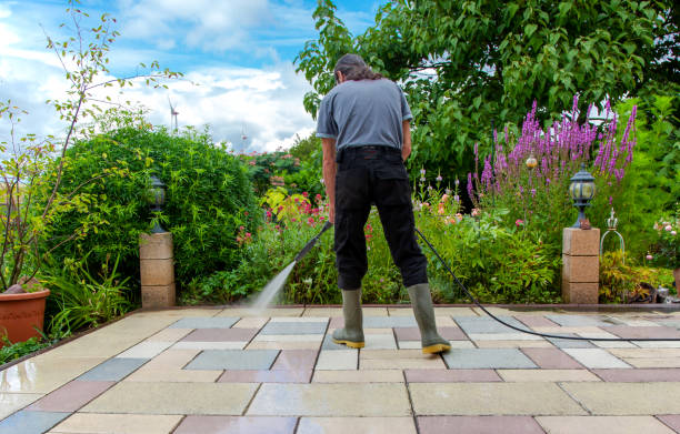 Best Sidewalk and Walkway Cleaning  in Cherry Valley, CA